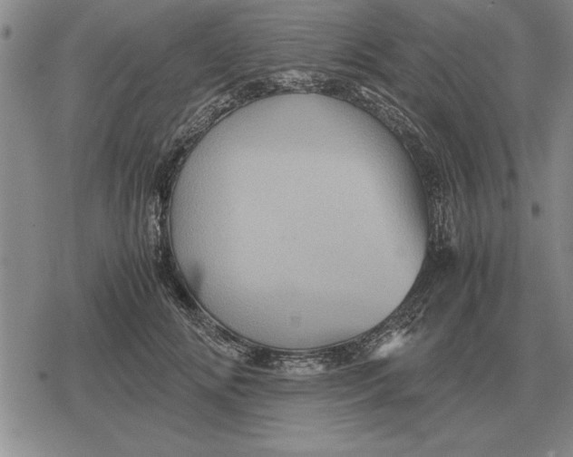 X0000079280702200612081753