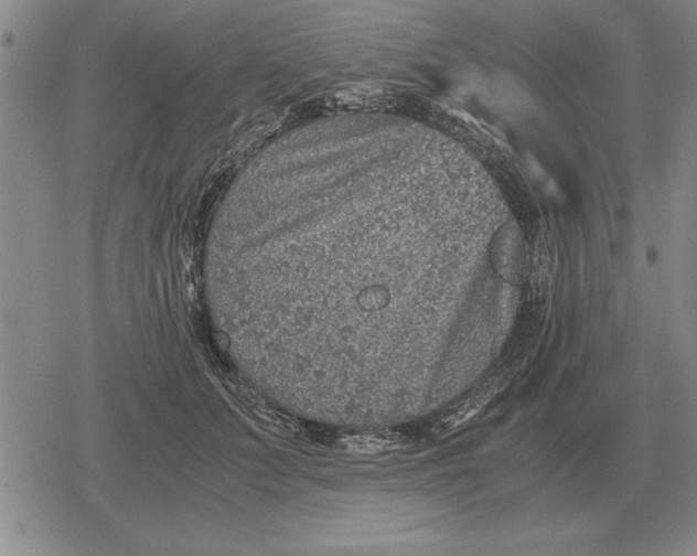 X0000079280703200612081753