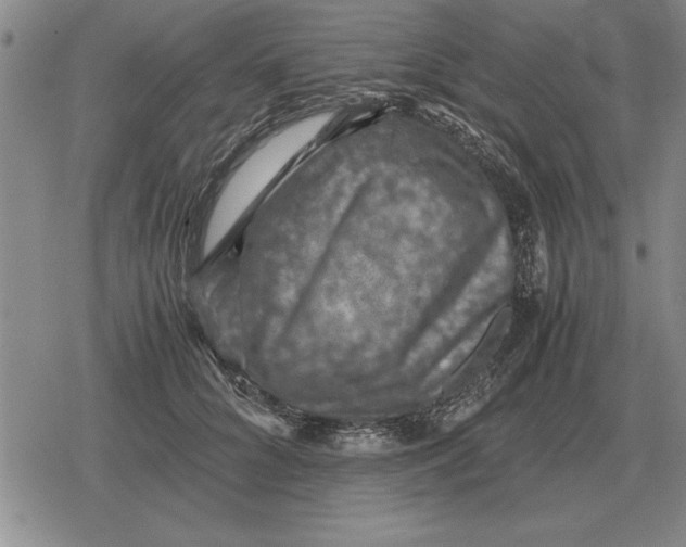 X0000079280704200612081753