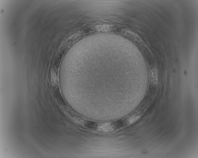 X0000079280705200612081753