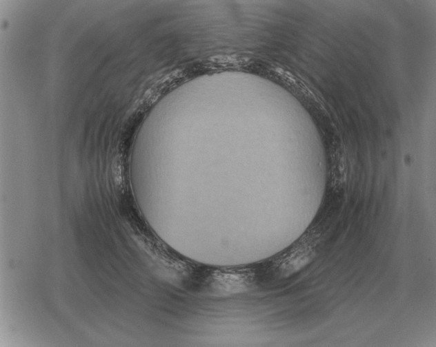 X0000079280706200612081753