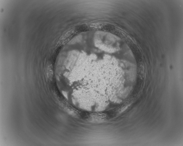 X0000079280707200612081753