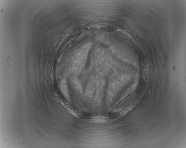 X0000079280708200612081753