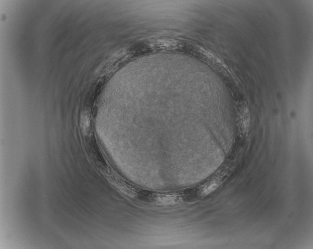 X0000079280709200612081753