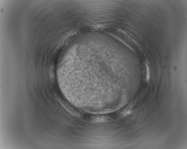 X0000079280710200612081753