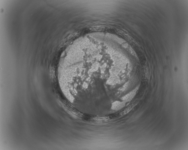 X0000079280711200612081753