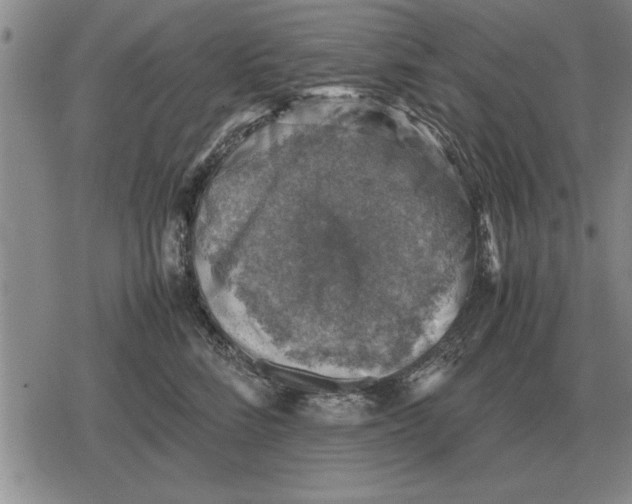 X0000079280712200612081753