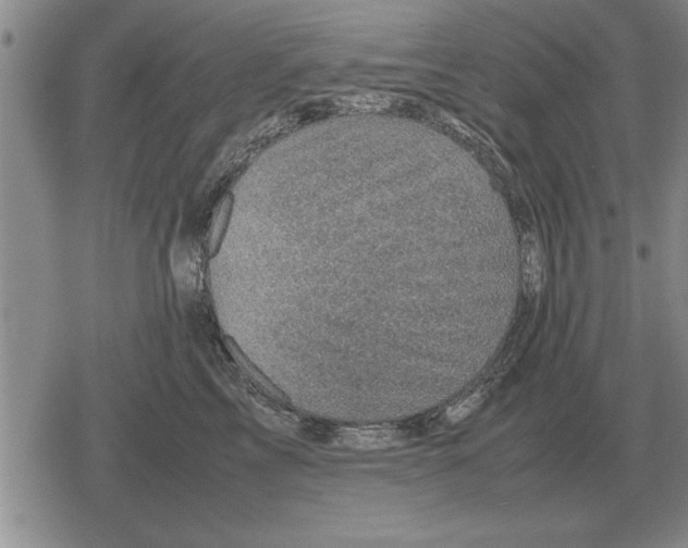 X0000079280713200612081753