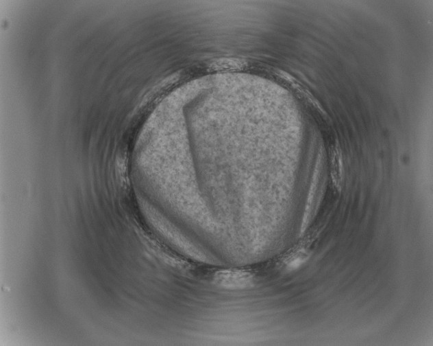 X0000079280714200612081753