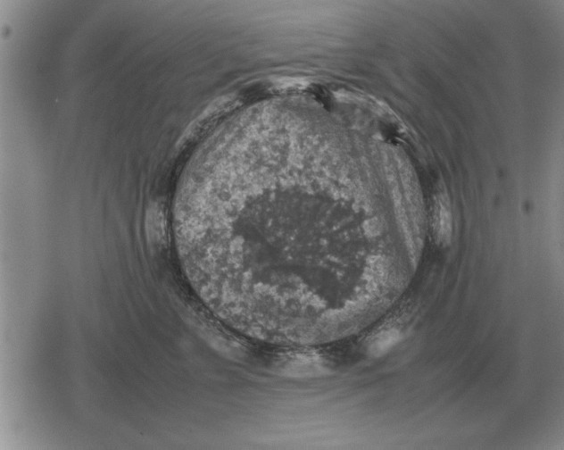 X0000079280715200612081753