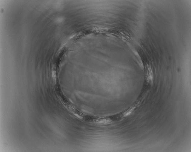 X0000079280716200612081753