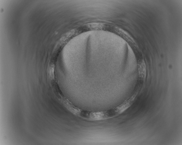 X0000079280717200612081753