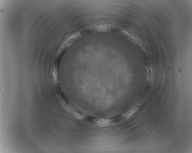 X0000079280718200612081753