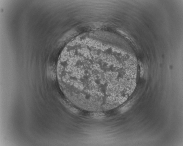 X0000079280719200612081753