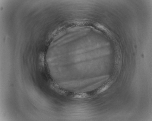 X0000079280720200612081753