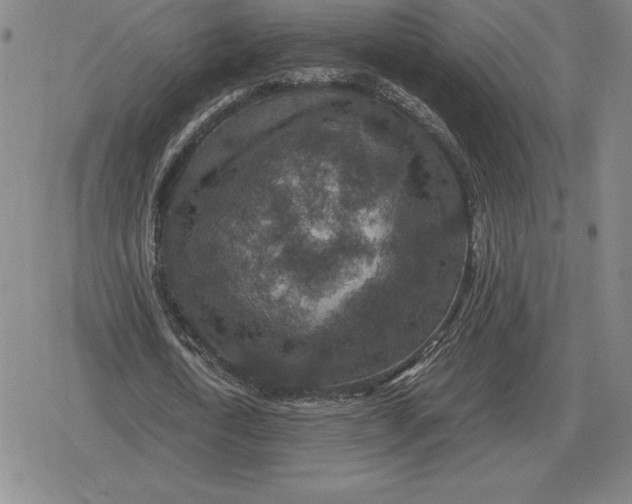 X0000079280722200612081752