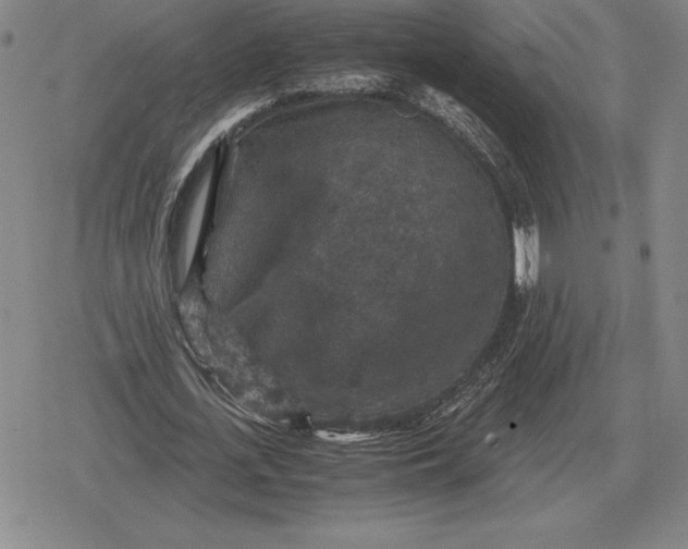 X0000079280723200612081752