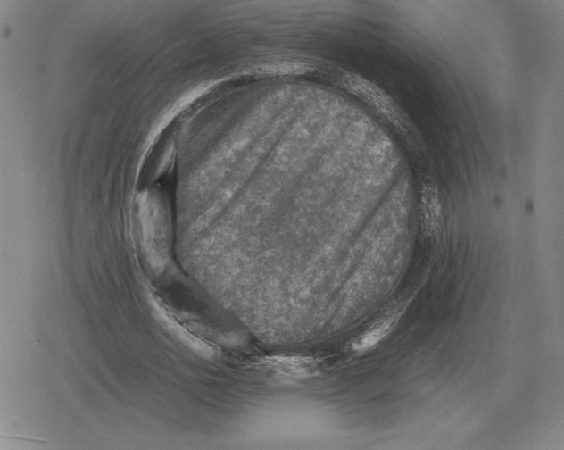 X0000079280726200612081752