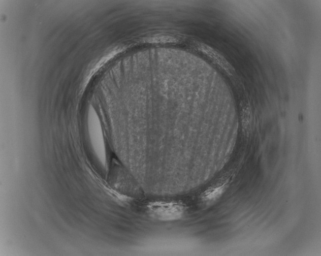 X0000079280727200612081752