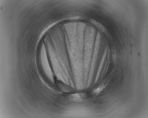 X0000079280728200612081752