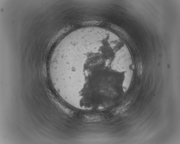 X0000079280729200612081752