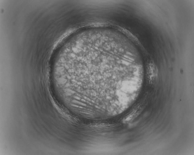 X0000079280730200612081752