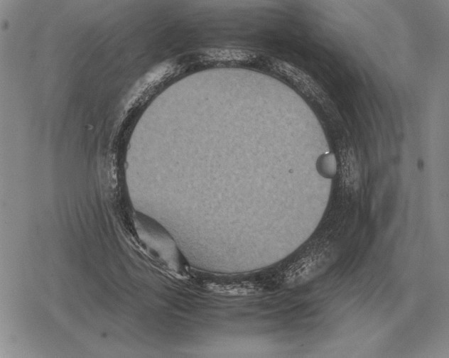 X0000079280731200612081752