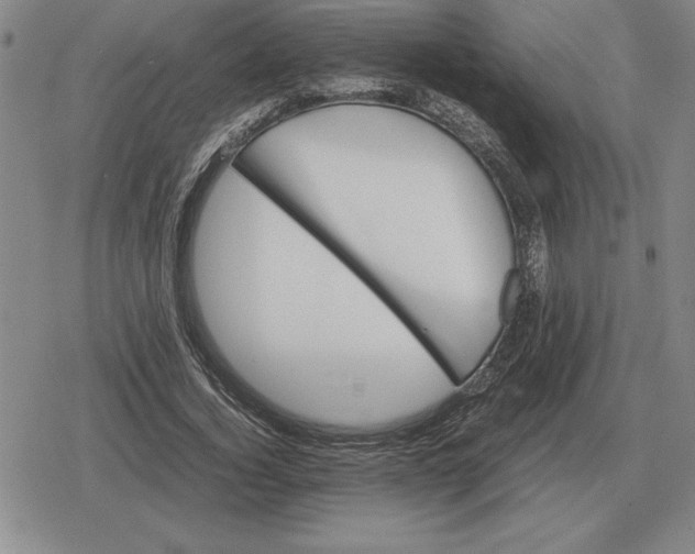 X0000079280732200612081752