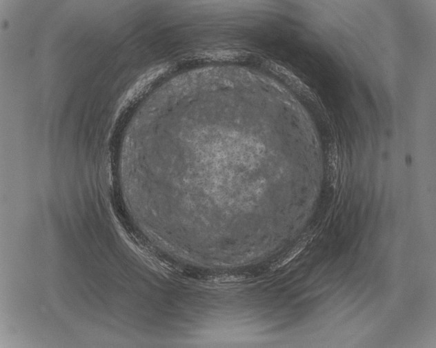 X0000079280734200612081752