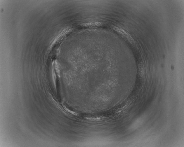 X0000079280735200612081752