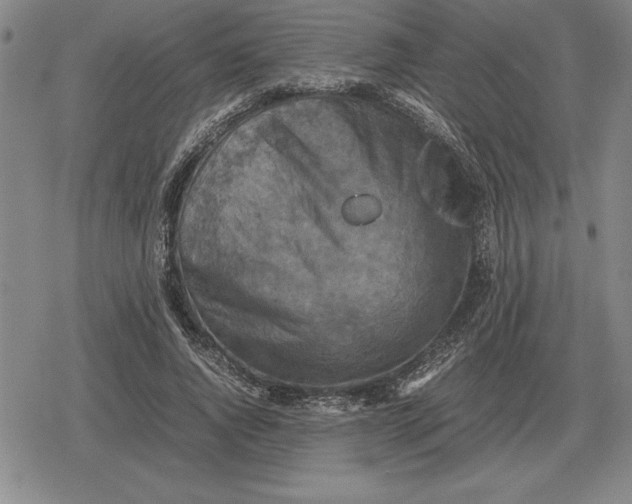 X0000079280736200612081752