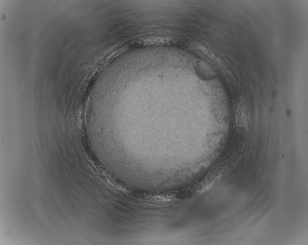 X0000079280737200612081752