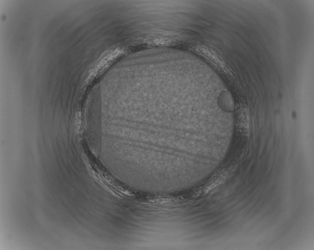 X0000079280738200612081752