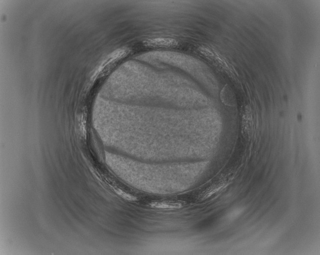 X0000079280739200612081752