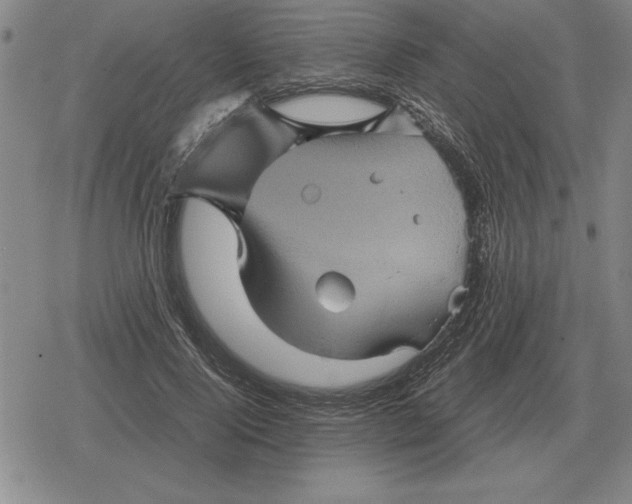 X0000079280740200612081752