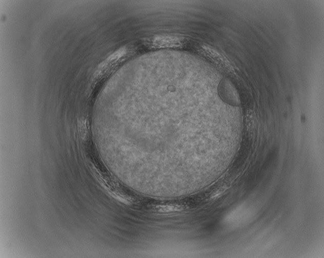 X0000079280741200612081752