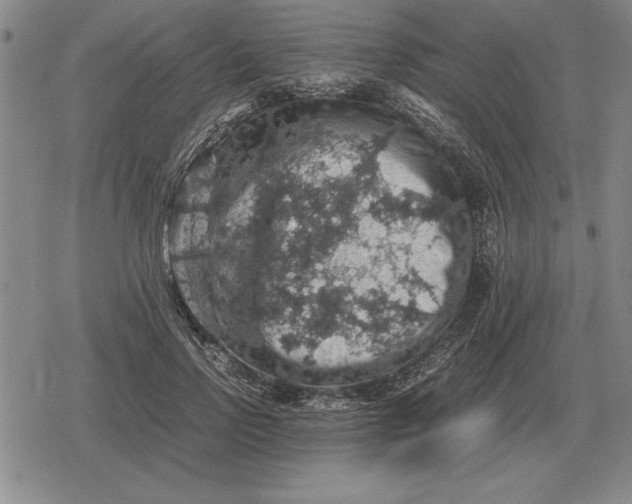 X0000079280742200612081752