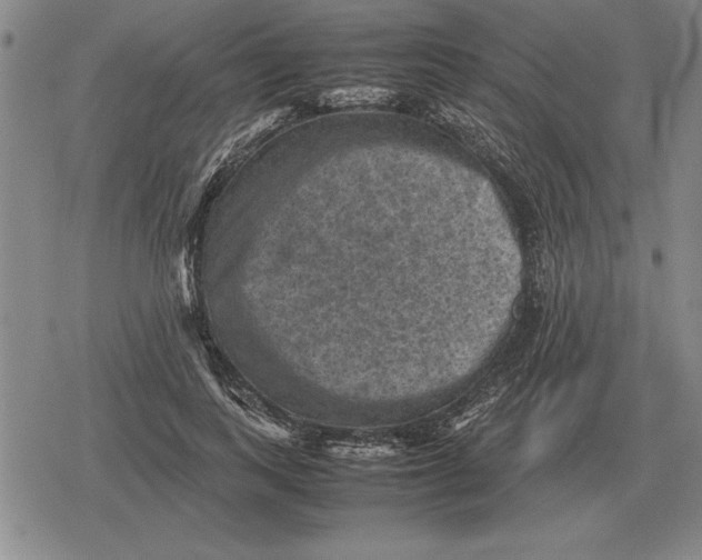 X0000079280743200612081752