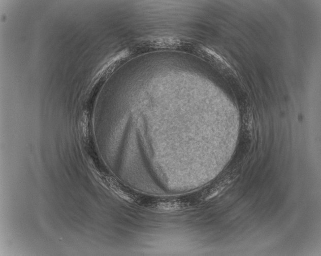 X0000079280744200612081753