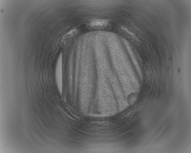 X0000079280745200612081753