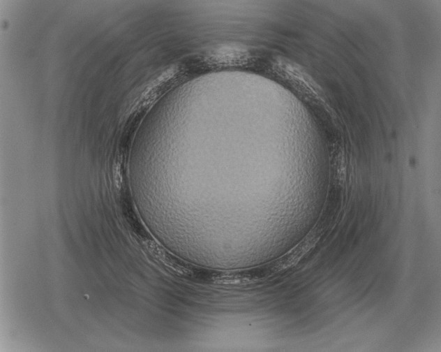 X0000079280746200612081753