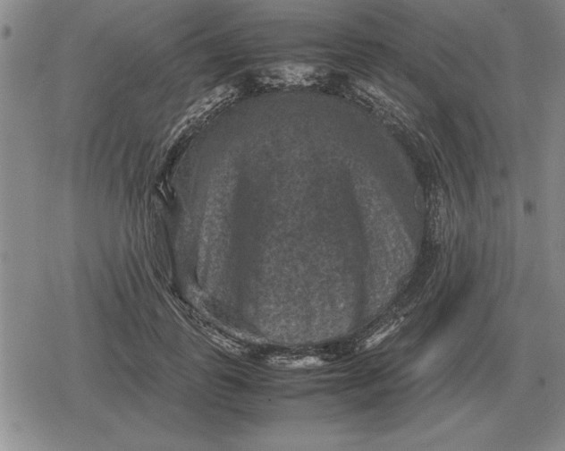 X0000079280747200612081753