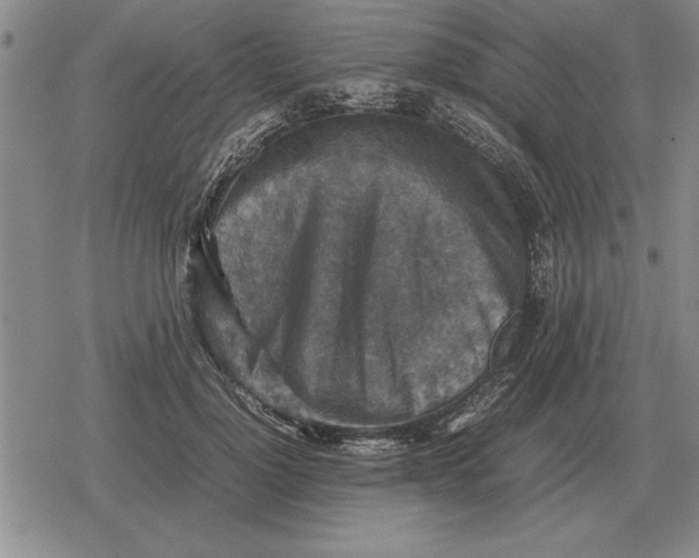 X0000079280748200612081753