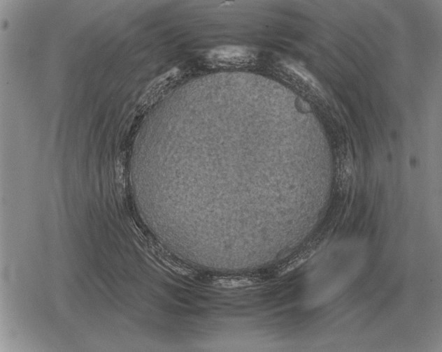 X0000079280749200612081753