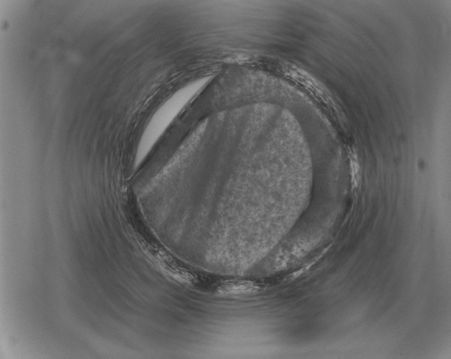 X0000079280750200612081753