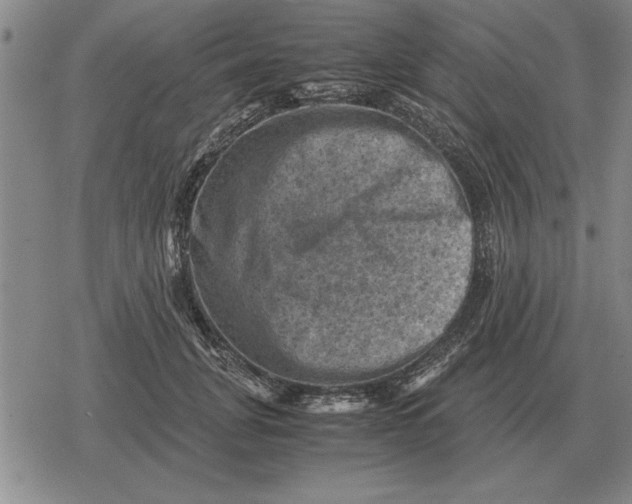 X0000079280751200612081753