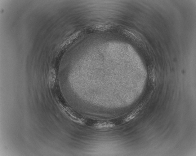 X0000079280752200612081753