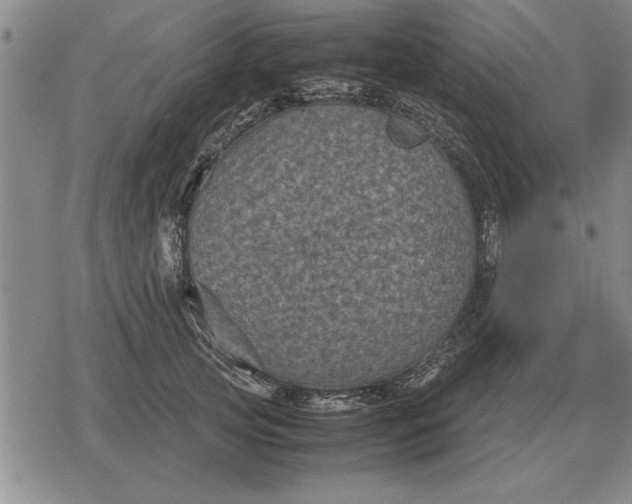 X0000079280753200612081753