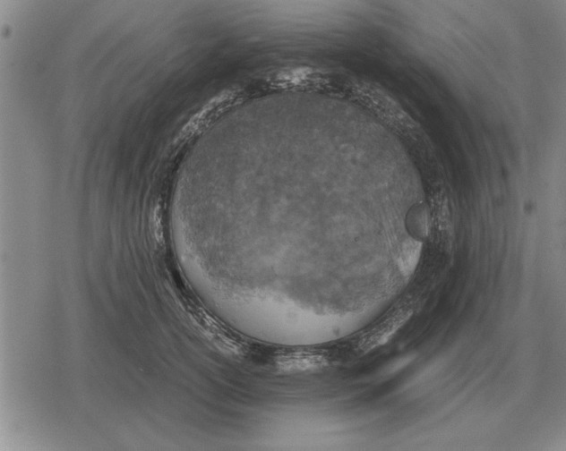 X0000079280754200612081753