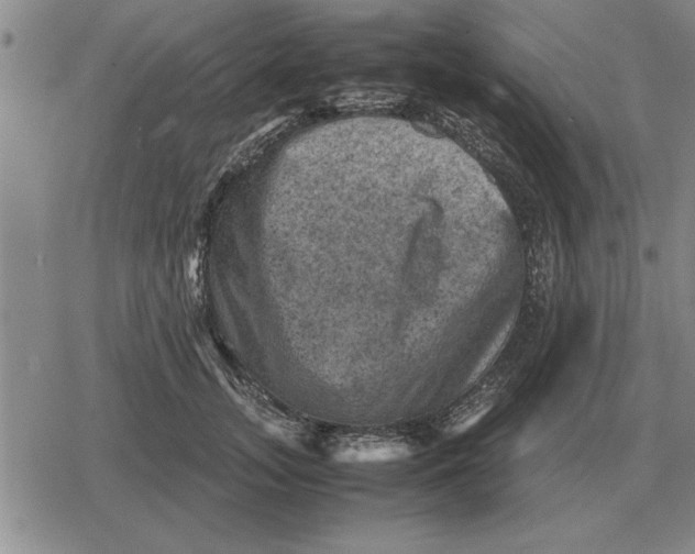 X0000079280755200612081753